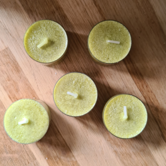 distelroos-Waxines-lime-set-van-5